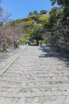 静岡市 久能山東照宮 参道（静岡） 久能山東照宮,参道,石段の写真素材