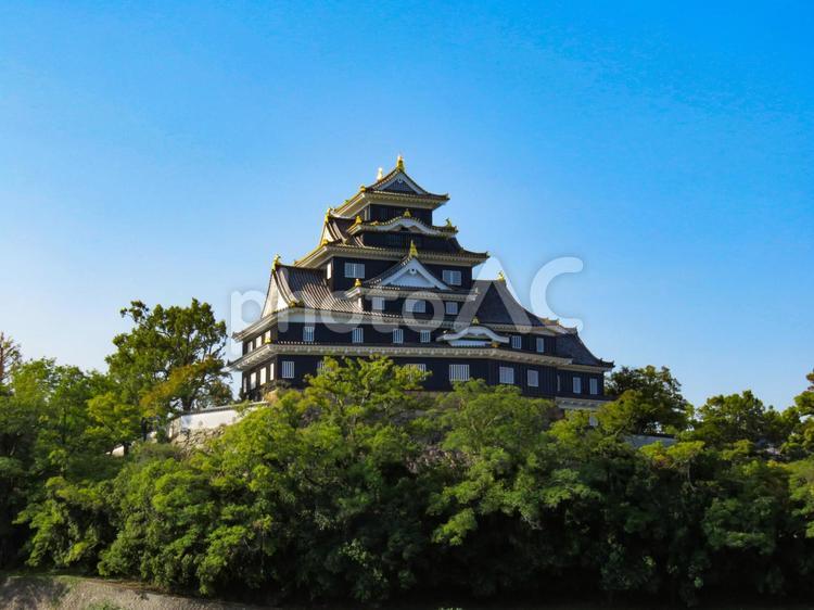 樹木の向こうにそびえる岡山城の天守閣 岡山城,城,天守閣の写真素材