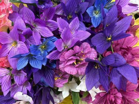 花 花,はな,紫色の写真素材