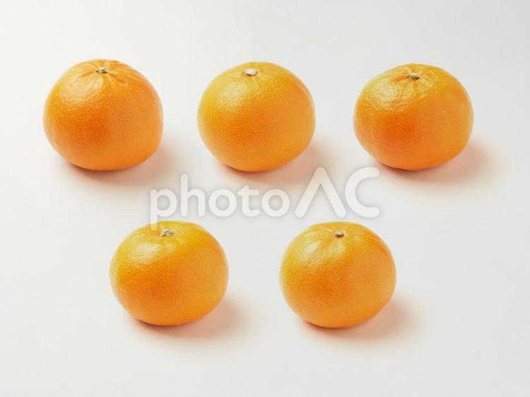 みかん　せとか　５個 せとか,みかん,柑橘類の写真素材