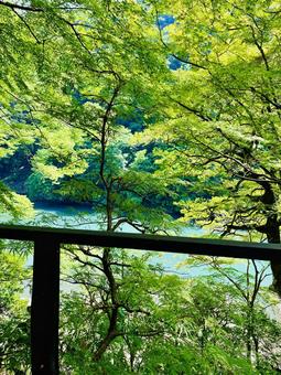 新緑 嵐山,京都,空の写真素材