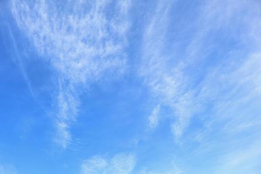 秋の青空 秋の青空の写真