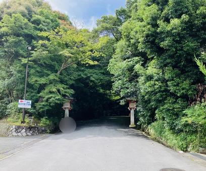 石上神宮 参道 石上神宮 参道 石上神宮,奈良県天理市,十六社の写真素材