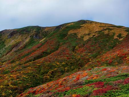 紅葉の栗駒山(須川岳) 紅葉の栗駒山(須川岳) 栗駒山,紅葉,秋の写真素材