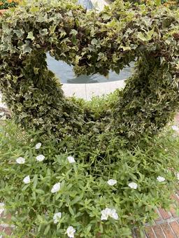 ハートの草花 ハートの草花 ハート,草,花の写真素材