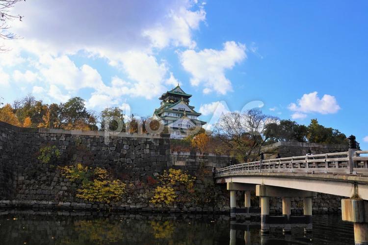 １１月下旬の大阪城と紅葉 背景,大阪城,城の写真素材