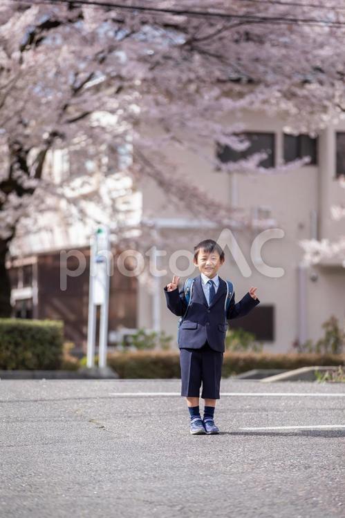 スーツを着た男の子 入学式,入学,スーツの写真素材