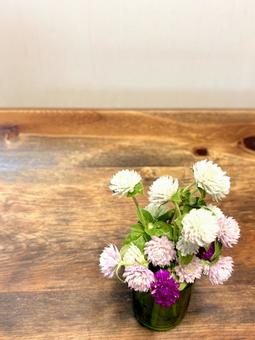 卓上に飾った千日紅 04の写真