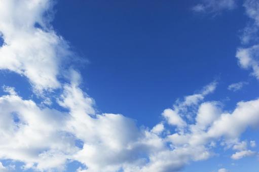 秋の空29 秋の空29の写真