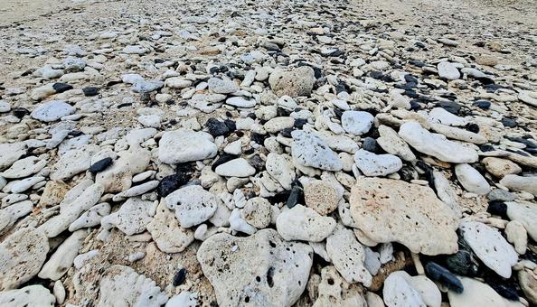 海辺の石　テクスチャ 海岸,石,珊瑚の写真素材