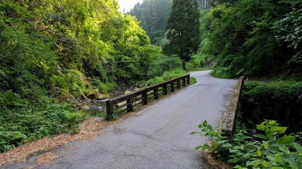 石川県大平沢の渓谷の渡橋 石川県大平沢の渓谷の渡橋 渓谷,谷川,大平沢の写真素材