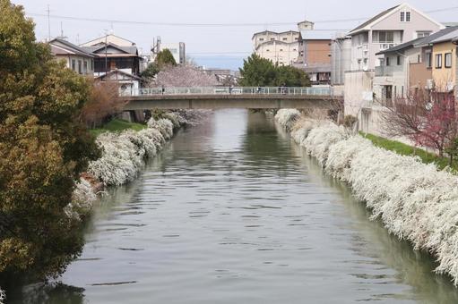 阿波橋 河川,町並み,きれいの写真素材