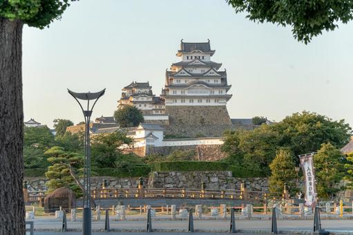 大手前通りから見た夕方の姫路城 姫路城,姫路,夕方の写真素材