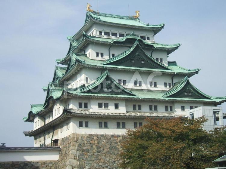 名古屋城 名古屋城,城,愛知県の写真素材