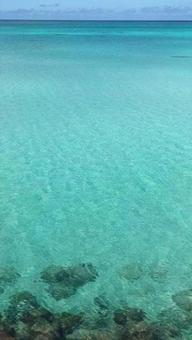 青い海 青い海の写真