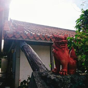 沖縄 沖縄の写真