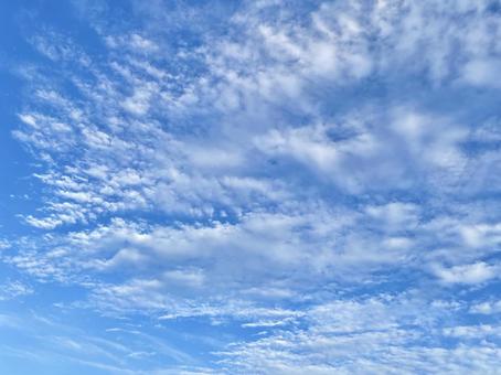 秋の空 秋の空の写真