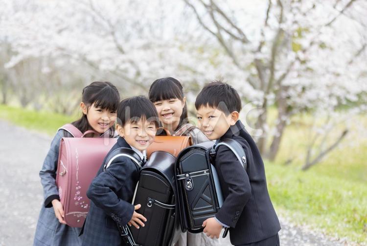 入学式イメージ　はしゃぐ新一年生 入学式,小学生,女性の写真素材