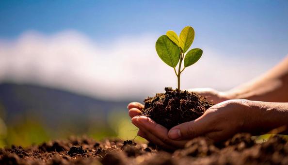 手の上のハート型の植木の写真