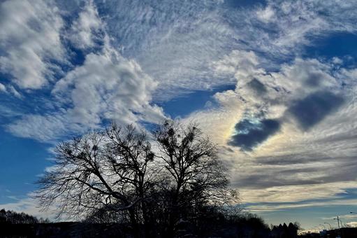 冬の空 冬の空,冬,青空の写真素材