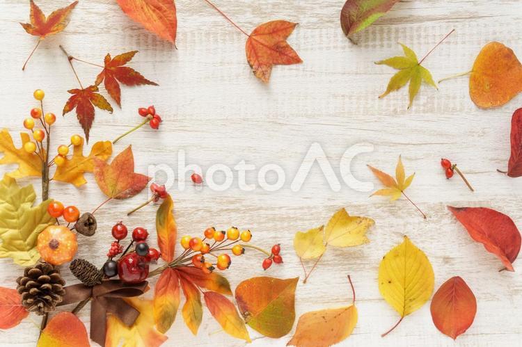 落ち葉と秋の実のフレーム 落ち葉,秋,紅葉の写真素材