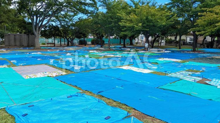 花火大会の場所取り 場所取り,ブルーシート,花火大会の写真素材