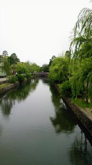 柳 柳,水路,岡山の写真素材