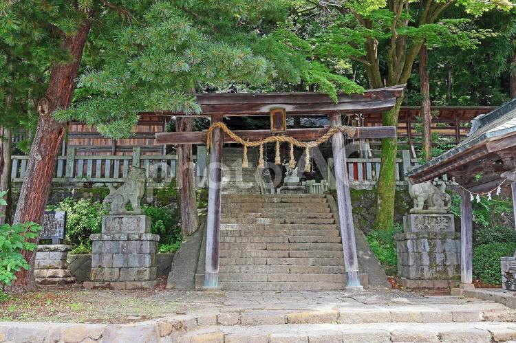 手長神社（諏訪） 手長神社,手摩乳命,旧県社の写真素材