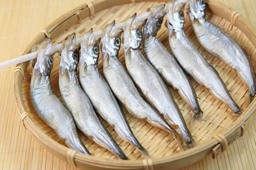 ししゃも ししゃも ししゃも,子持ちししゃも,魚の写真素材