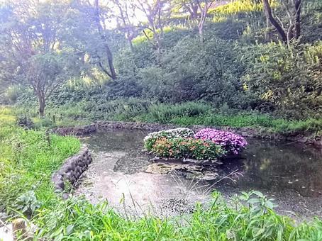 風景 景色 公園の池 自然 風景 景色 公園の池 自然の写真