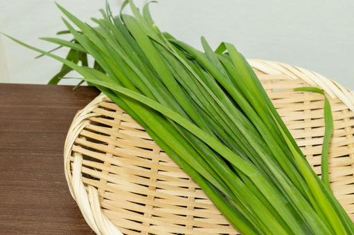 ニラ 植物,葉物野菜,やさいの写真素材