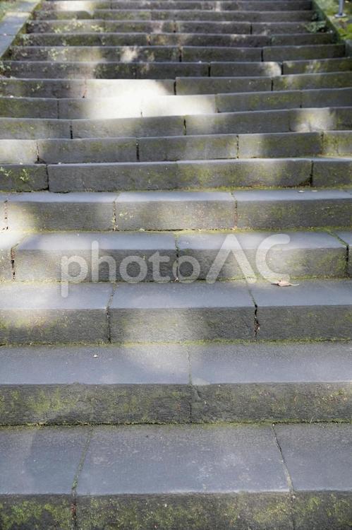 陽のあたる石段 階段,石段,光の写真素材