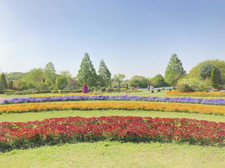 花畑 花畑の写真