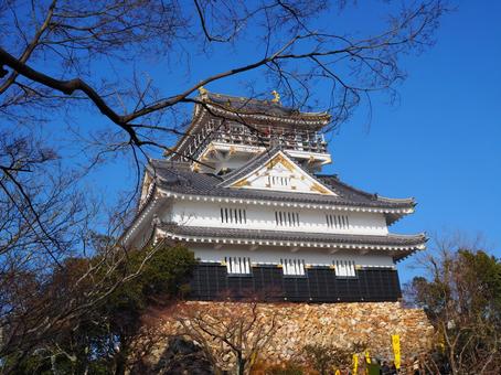 浜松城 浜松城,青空,木の写真素材