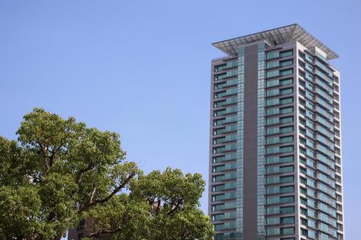 青空と緑の樹と高層マンションのある街並み 青空と緑の樹と高層マンションのある街並み 青空,緑,樹の写真素材