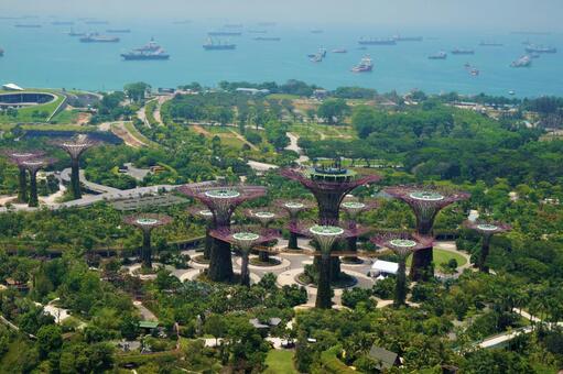 View from Marina Bay Sands, JPG