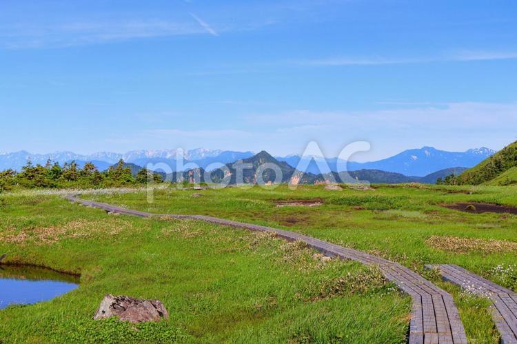 苗場山 苗場山,新潟,日本百名山の写真素材