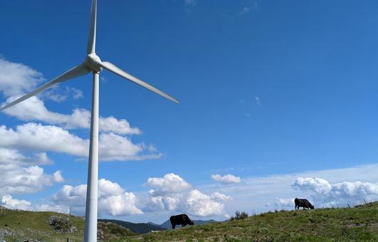 風力発電と牛 プロペラ,風力発電,牛の写真素材