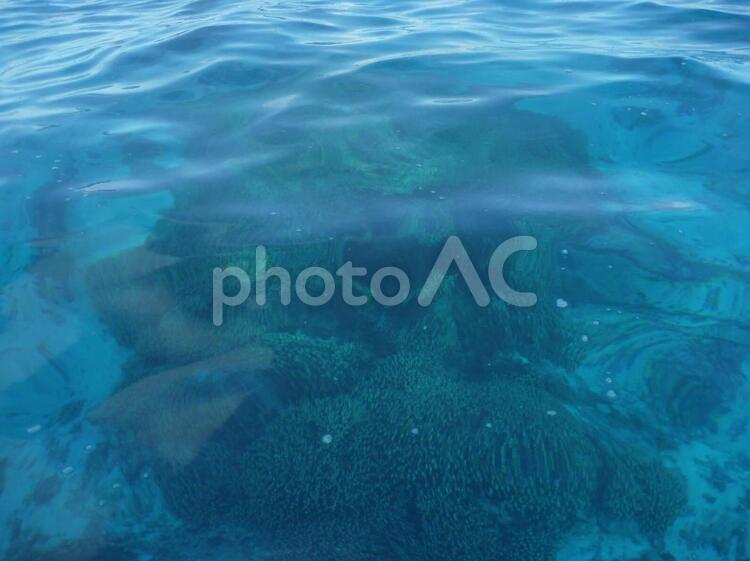 透明度の誇れる海 海面,透明度,海の写真素材