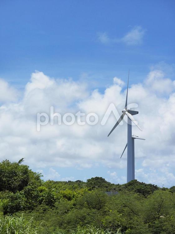 風車と青空、風力発電 風力発電,風車,発電所の写真素材
