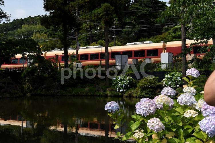 紫陽花と横須賀線 横須賀線,鉄道,線路の写真素材