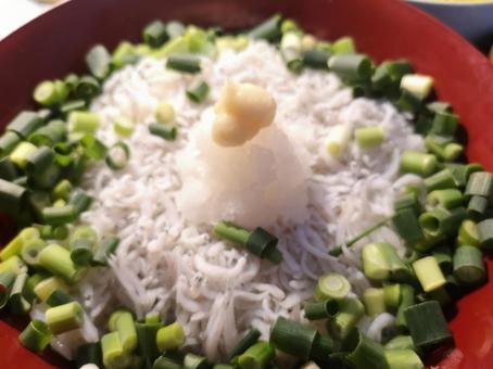 しらす丼 しらす丼の写真
