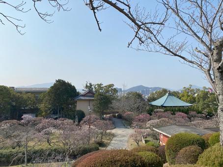 春の庭園と山並み 防府天満宮,自然,木の写真素材