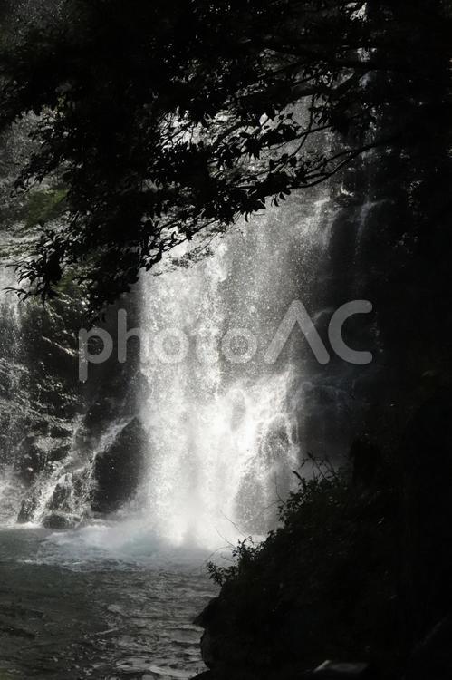 箕面の滝　モノクロ 箕面の滝,モノクロ,飛沫の写真素材