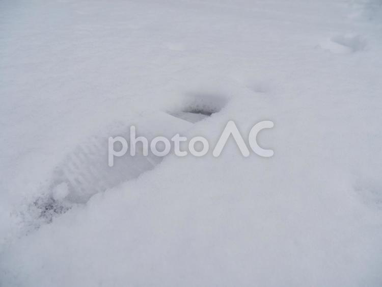 冬　雪　素材　広告　文字入れ　おしゃれ コピースペース,スペース,コピーの写真素材