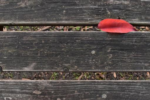 ベンチの上の赤い落ち葉 落ち葉,ベンチ,木製の写真素材