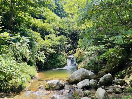 魚止めの滝 新潟 魚止めの滝 新潟の写真