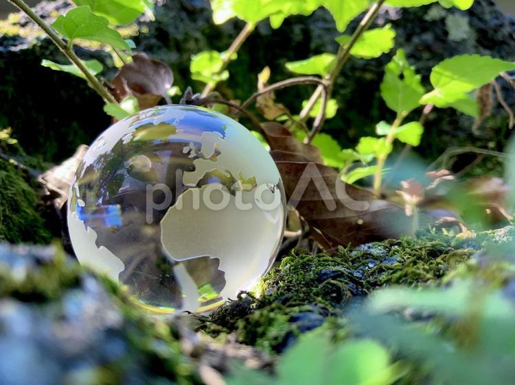 自然の中の綺麗なガラスの地球儀　SDGs 地球,ガラス,クリスタルの写真素材