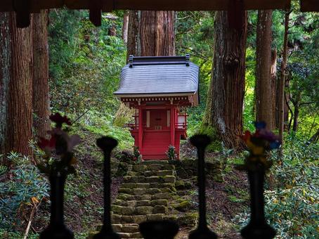 室生寺の境内 寺,参道,参拝の写真素材