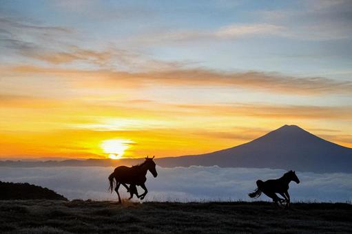 富士に沈む夕日と走る親子の馬のシルエット 夕日,夕方,富士山の写真素材